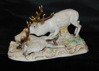 Rare Meissen Porcelain Figurine Group - Wild Stags / Deer S - 173 - 9 " L - Ca 1880