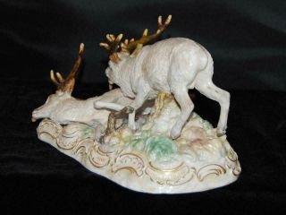 RARE Meissen Porcelain Figurine Group - Wild Stags / Deer S - 173 - 9 