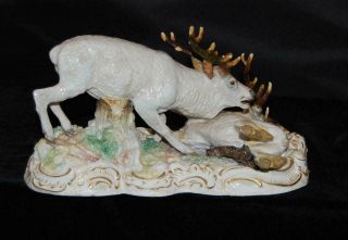 RARE Meissen Porcelain Figurine Group - Wild Stags / Deer S - 173 - 9 