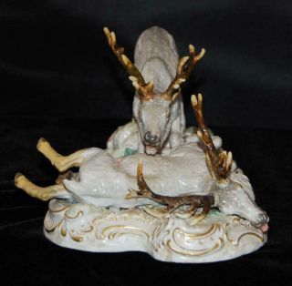 RARE Meissen Porcelain Figurine Group - Wild Stags / Deer S - 173 - 9 