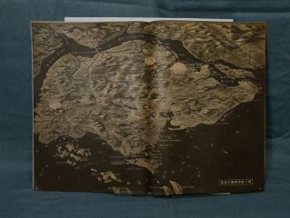 Vintage 1942 Singapore Island Bird ' s Eye View Map Malayan Campaign WWII Era 2