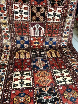 Auth: Antique Luri Nomadic Rug Rare CharMahal Collectors Garden Beauty 5x13 NR 2