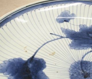 H733: RARE,  really old Japanese plate of fine KO - IMARI porcelain called AI - KAKI 5