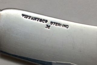 6 Tiffany & Co.  Ivy aka Antique Ivy 1870 Sterling Silver Fish Knives 7 7/8 