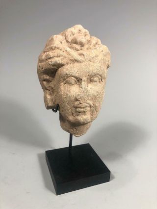 Fine Rare Gandhara Gray Schist Stone Head Of The Buddha Ca.  2 - 3rd Century Ad