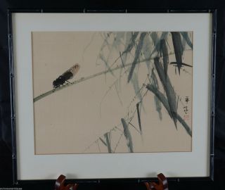 Vintage Chinese Water Colour Painting on Silk of an Insect & Bamboo Color 2