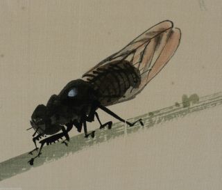 Vintage Chinese Water Colour Painting on Silk of an Insect & Bamboo Color 3