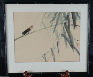 Vintage Chinese Water Colour Painting on Silk of an Insect & Bamboo Color 5