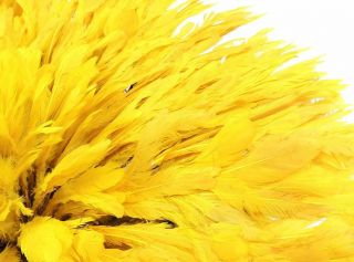 Juju Feather Headdress Bamileke Cameroon Small Yellow 3