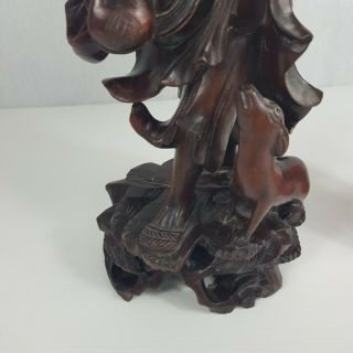Well Carved Antique Chinese Wood Figure Of A Man / Sage / Immortal With Dog 36cm 10