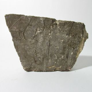 Egyptian Limestone Relief Fragment