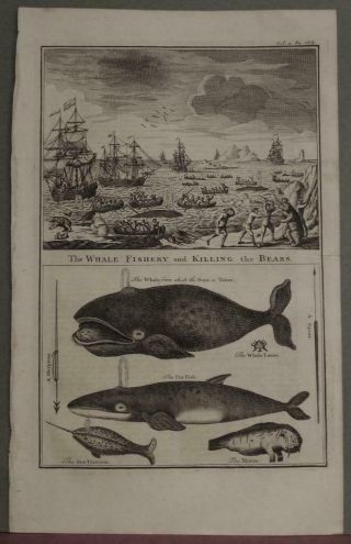 Whales & Bears Hunting Greenland Arctic Lands 1744 Emanuel Bowen Antique Plate