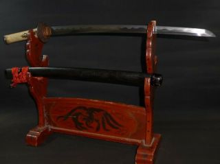 Wakizashi (sword) W/koshirae : Edo : 30.  1 × 20.  7 " 920g