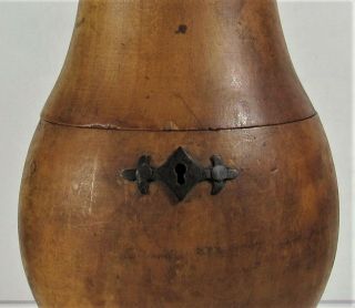 Antique Pear Shaped Tea Caddy 2