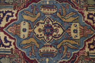 Pictorial Style Semi Antique Vintage 10X13 Persian Rug Oriental Décor Carpet 6