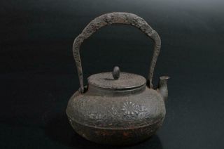 T2363: Japanese Iron Flower sculpture TEA KETTLE Teapot Tetsubin Tea Ceremony 6