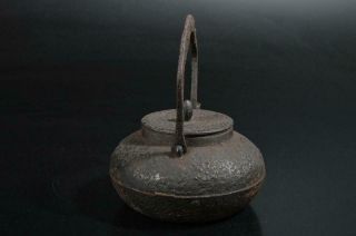 T2363: Japanese Iron Flower sculpture TEA KETTLE Teapot Tetsubin Tea Ceremony 7