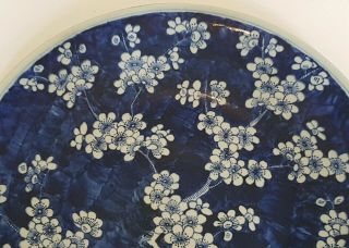 VERY LARGE ANTIQUE CHINESE PORCELAIN PRUNUS BLOSSOM BLUE & WHITE PLATE/DISH 2