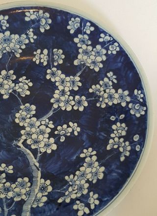 VERY LARGE ANTIQUE CHINESE PORCELAIN PRUNUS BLOSSOM BLUE & WHITE PLATE/DISH 3