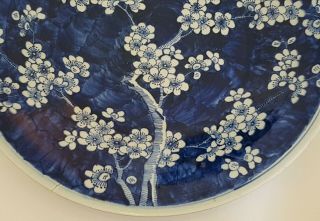 VERY LARGE ANTIQUE CHINESE PORCELAIN PRUNUS BLOSSOM BLUE & WHITE PLATE/DISH 4