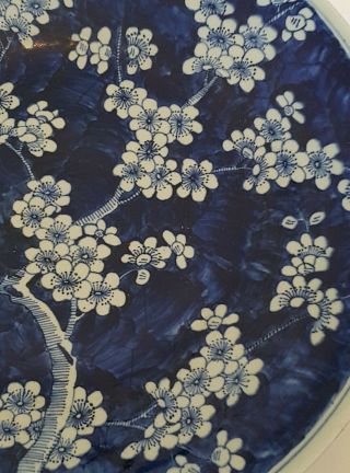 VERY LARGE ANTIQUE CHINESE PORCELAIN PRUNUS BLOSSOM BLUE & WHITE PLATE/DISH 8