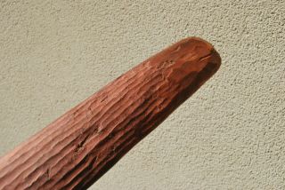 Central Australian Aboriginal hunting boomerang Applied ochre fluted decoration 3