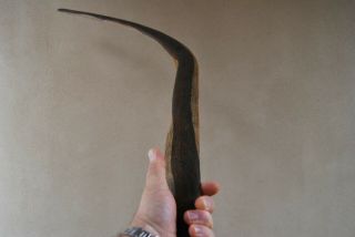 Very Large Old Aboriginal Boomerang - North Western South Australia
