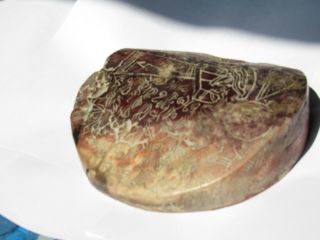 Ancient Pre - Columbian Ojuelos de Jalisco Stone Alien Disk Artifact 3