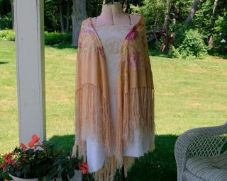 Antique Victorian Embroidered Floral Peach Silk Piano Scarf Long Fringe Shawl 3