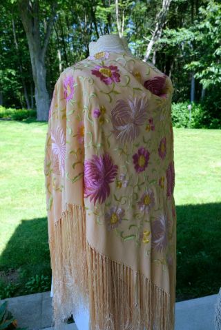 Antique Victorian Embroidered Floral Peach Silk Piano Scarf Long Fringe Shawl 7