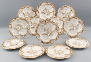Rare 12 Antique Haviland Limoges French Porcelain Gilded Seaweed Oyster Plates