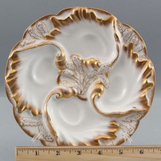RARE 12 Antique Haviland Limoges French Porcelain Gilded Seaweed OYSTER PLATES 2