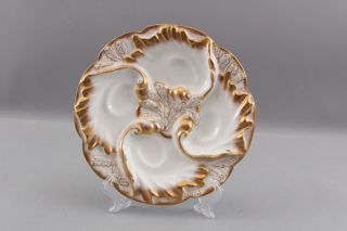 RARE 12 Antique Haviland Limoges French Porcelain Gilded Seaweed OYSTER PLATES 3