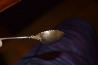 Vintage Tiffany & Co Sterling Silver Julep Leaf Spoons (6) 6