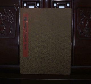 Chinese Old Xie Tiao Woodcut Scroll Album Book Painting Flower Bird