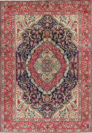 Vintage Traditional Medallion Persian Floral Oriental Hand Made 7x10 Area Rug