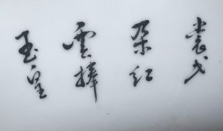 Chinese Porcelain Famile Rose Bowl with Qianlong Mark but Guangxu Period 11
