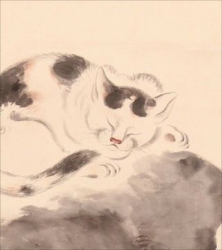 Sleeping Cat Japanese Painting Hanging Scroll Japan Catfish Asian Vintage C953