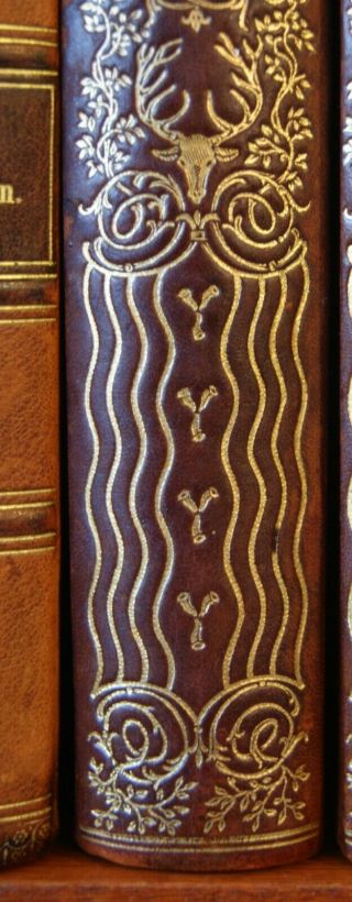 84 ANTIQUE DECORATIVE LEATHER BOOKS - GILDED LEATHER SPINES - 8