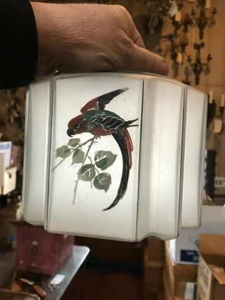 Fla 80 Antique Deco Parrot Painted Pendant Light Shade 3 7/8” Fitter 7 W 7.  5hi 3