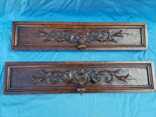 Antique French,  Drawer Front,  Carved Panel,  Oak,  Renaissance Style,  19th
