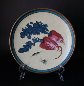 A Large Chinese Cloisonne Enamel Charger - Insect & Flower