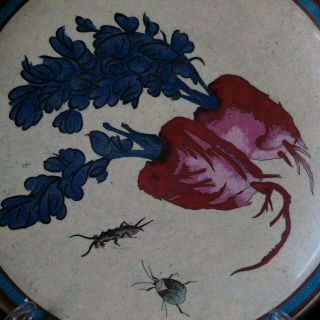 A Large Chinese Cloisonne Enamel Charger - Insect & Flower 2