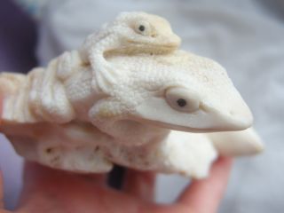 Rare Chinese Antique Hand Carved White Coral Frogs On Lillipad Ornament 188gms