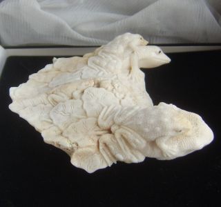 Rare Chinese Antique Hand Carved White Coral Frogs on Lillipad Ornament 188gms 9