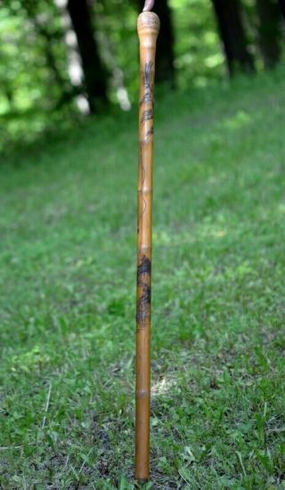 Rare 19thc Chinese Japanese Carved Monkey Scenic Bamboo Gadget Cane Fishing Pole