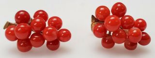 ANTIQUE 19TH C.  VICTORIAN CARVED RED CORAL GRAPE CLUSTER & 14K GOLD EARRINGS 10