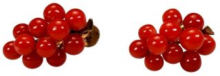 Antique 19th C.  Victorian Carved Red Coral Grape Cluster & 14k Gold Earrings