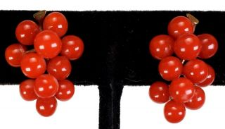 ANTIQUE 19TH C.  VICTORIAN CARVED RED CORAL GRAPE CLUSTER & 14K GOLD EARRINGS 2