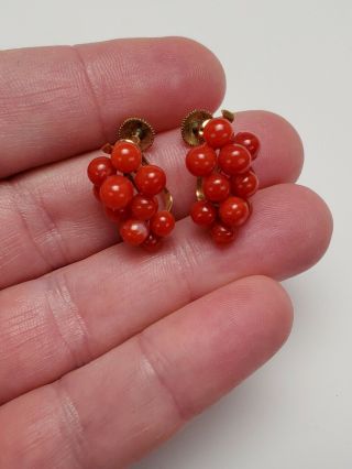 ANTIQUE 19TH C.  VICTORIAN CARVED RED CORAL GRAPE CLUSTER & 14K GOLD EARRINGS 5